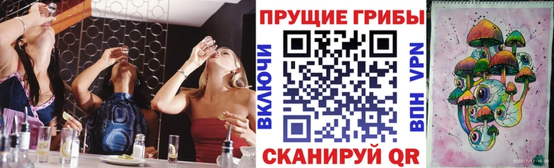 Галлюциногенные грибы Cubensis  где продают   Амурск 
